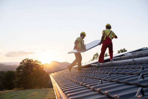 Best Flat Roofing  in Zapata, TX