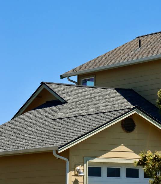 Best Solar Panel Roofing Installation  in Zapata, TX